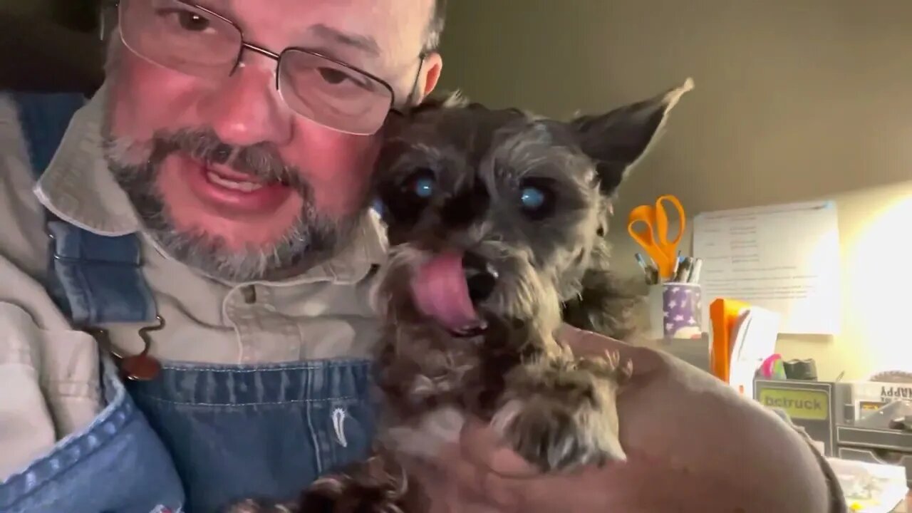 Subscribe to my rumble channel?