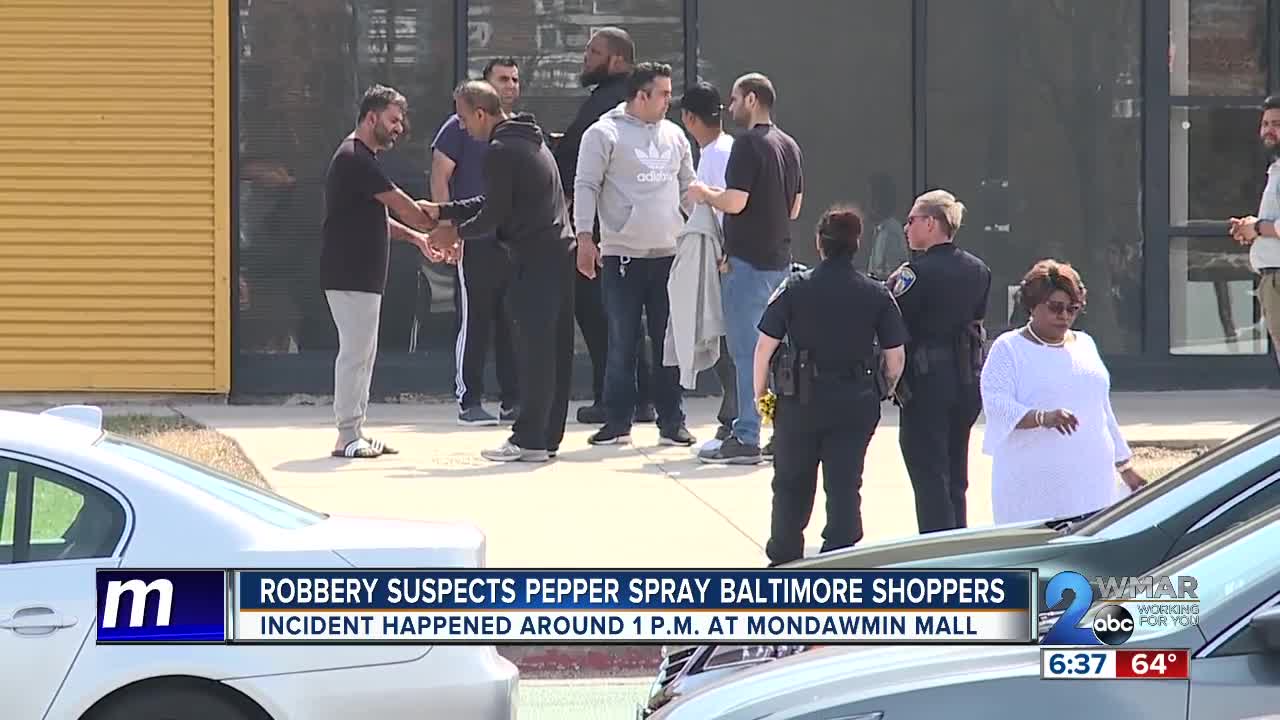 Robbery suspects pepper sprayed mall shoppers