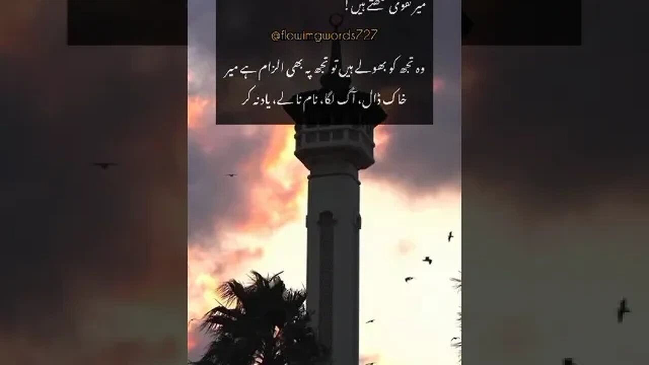 Meer Naqvi وہ تجھ کو بھولے ہیں تو تجھ پہ بھی الزام ہے میر خاک ڈال، آگ لگا، نام نا لے، یاد نہ کر