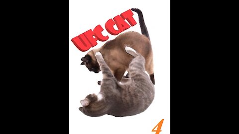 UFC CAT, #4