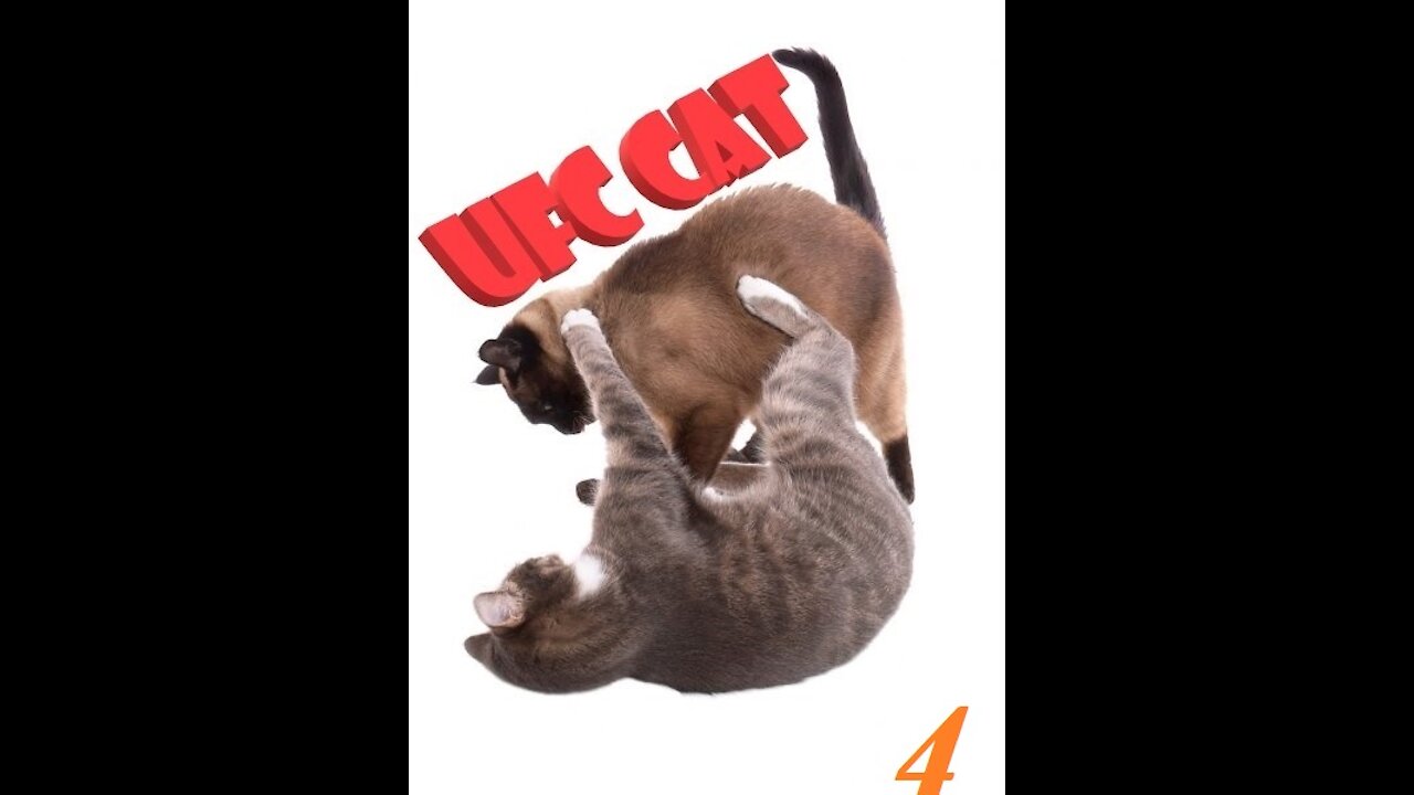 UFC CAT, #4