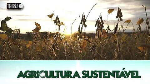 Agricultura Sustentável: Com Frederico Olivi.