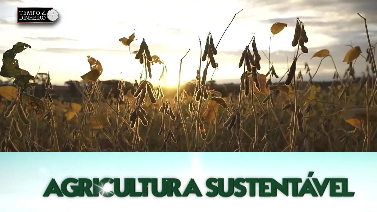 Agricultura Sustentável: Com Frederico Olivi.