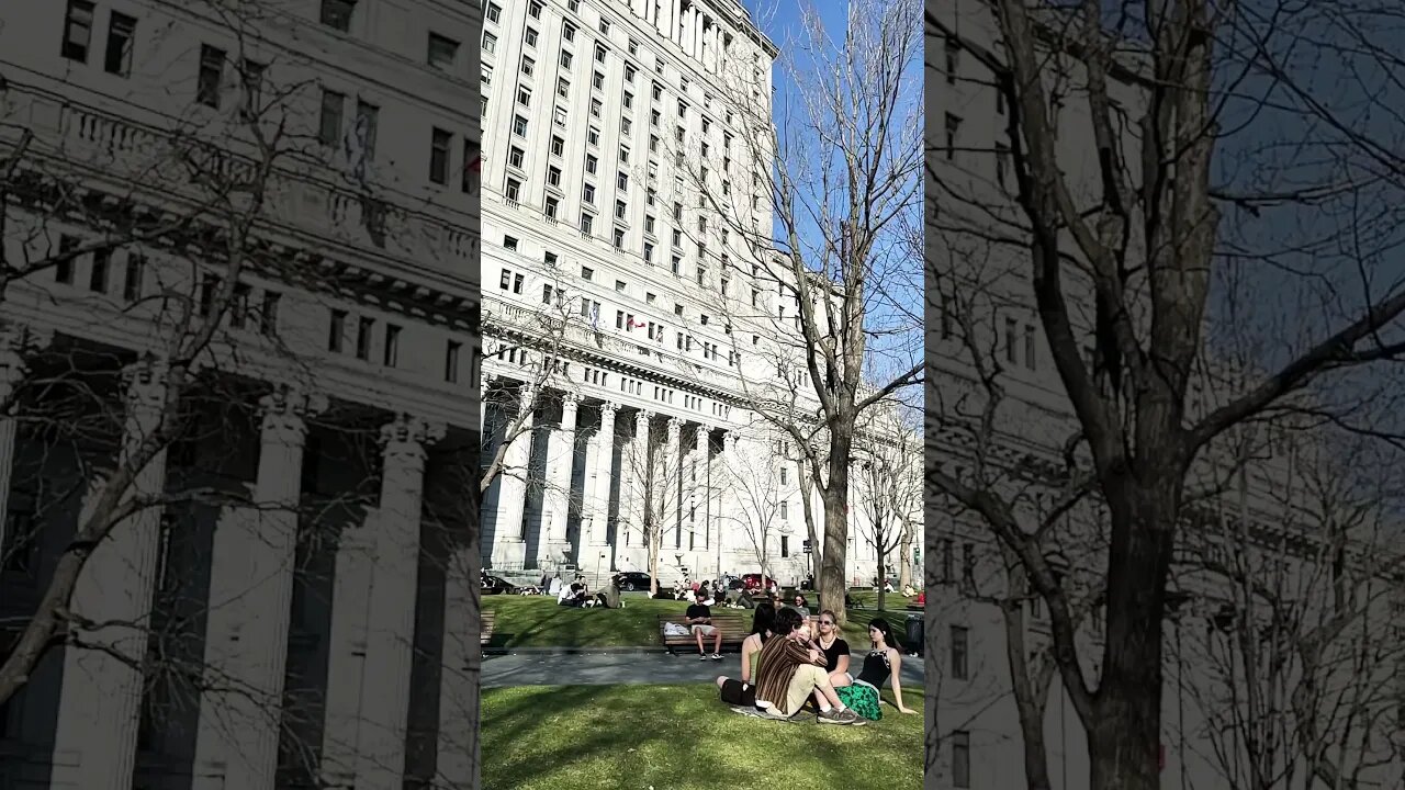 Stunning Sunny Sun Life Building