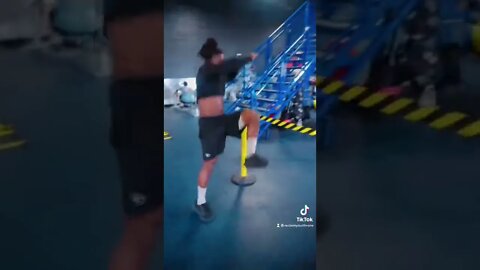 Purpose over 🐱 👑