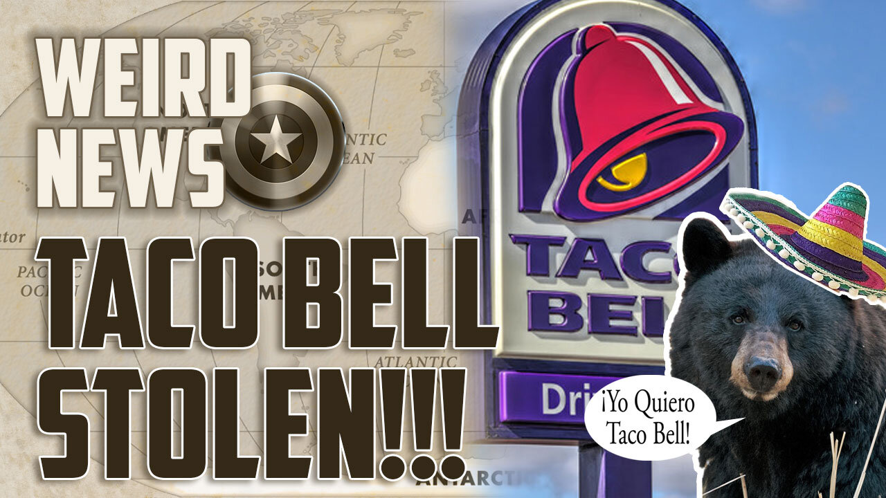 A BEAR STOLE my Taco Bell order! | Weird News With Cap