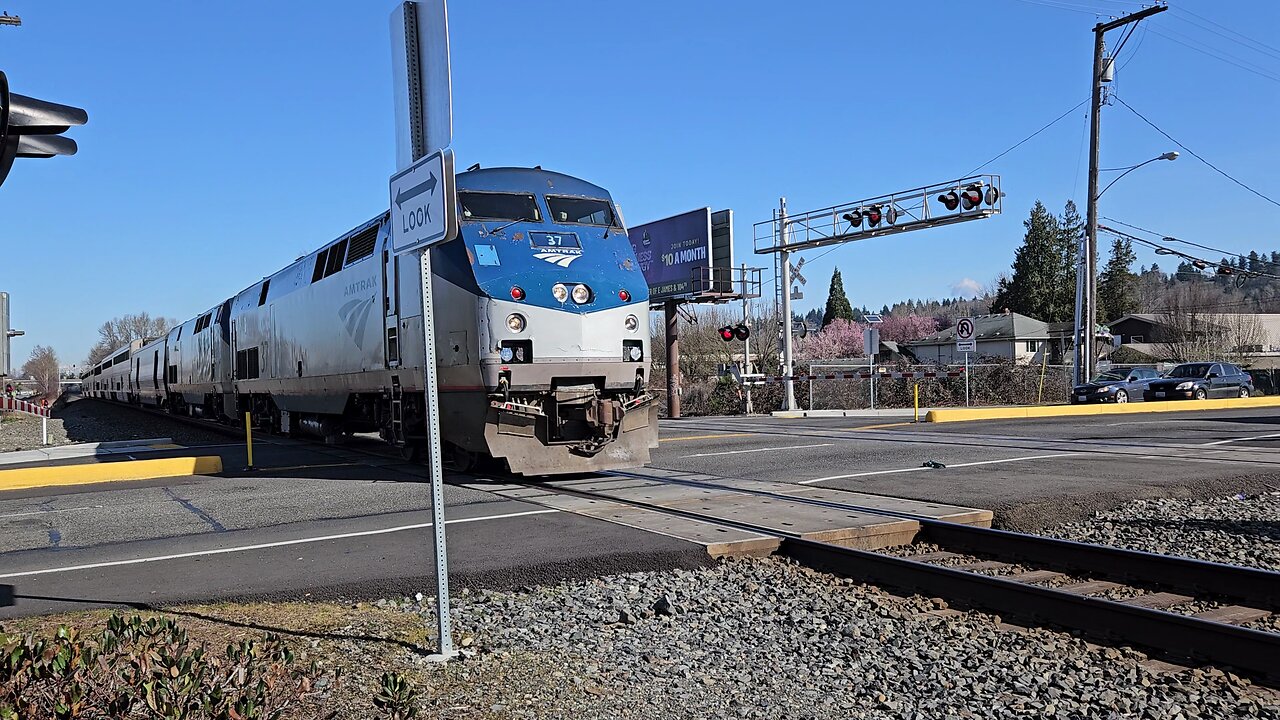 Amtrak is still using their older main locomotives often (Kent, WA 3/8/2024 with newer camera)