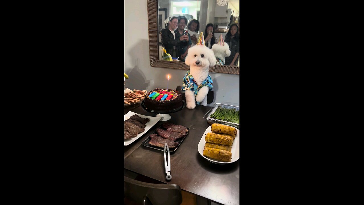 Family Celebrates Dog's Birthday