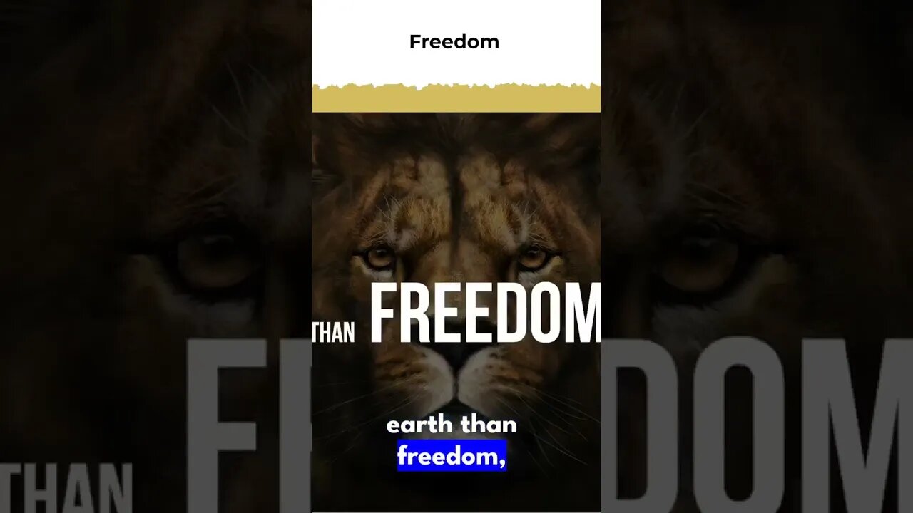 Lion Has Freedom