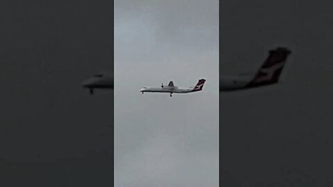 Qantas Link Flight. #trending #shorts #airplane #plane #video #viral #tasmania #flyover