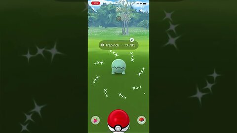 Shiny Compilation