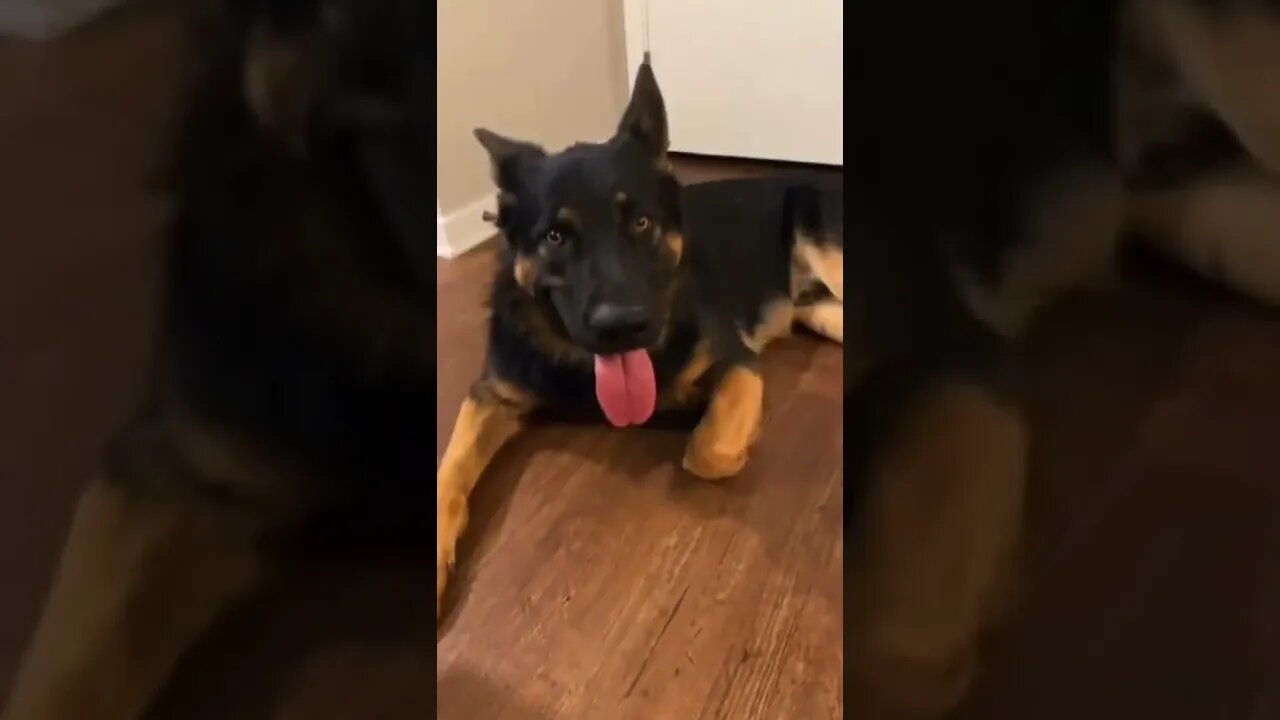 He saw his change and took it๐