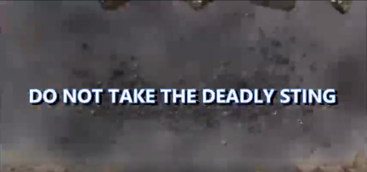 REVELATION DEADLY STING VIDEO- BY TIMES & SIGNS