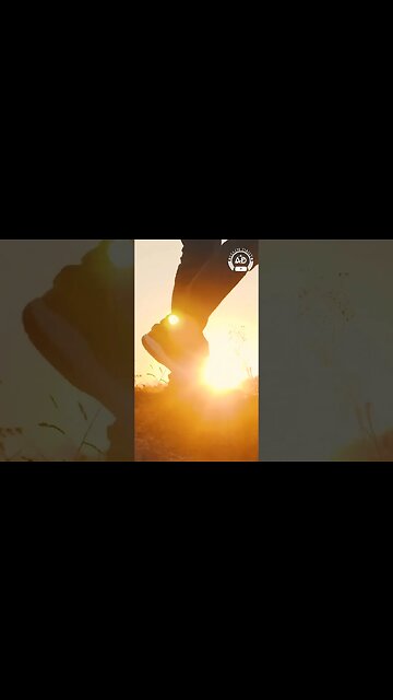 ዩፎ አምላኪዎቹ #shorts #UFO #aliens