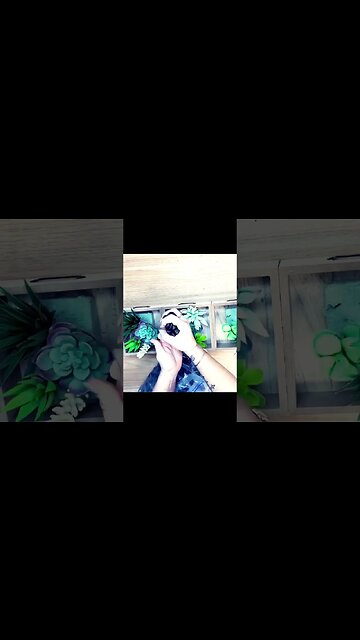 🙀 Gorgeous succulent planter , Dollar Tree DIY 🙀