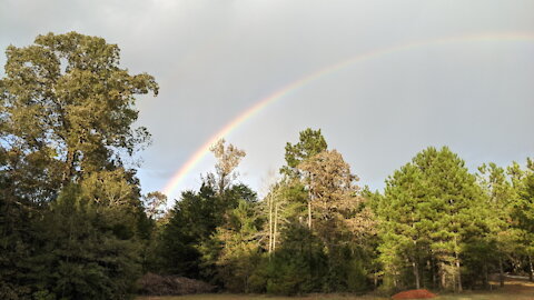 Cannon Farm - French drain and God's Promise