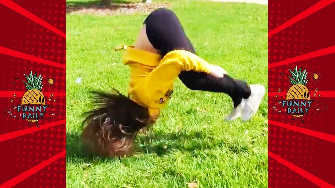 Daily dose of Fails