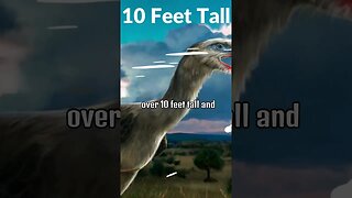 Phorusrhacids / terror Bird #shorts #shortsfeed #youtubeshorts #facts #viral #didyouknow