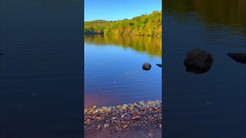 The Autumn Lake is Calling | Oops the Oboe Has a Twin | Pamela Storch