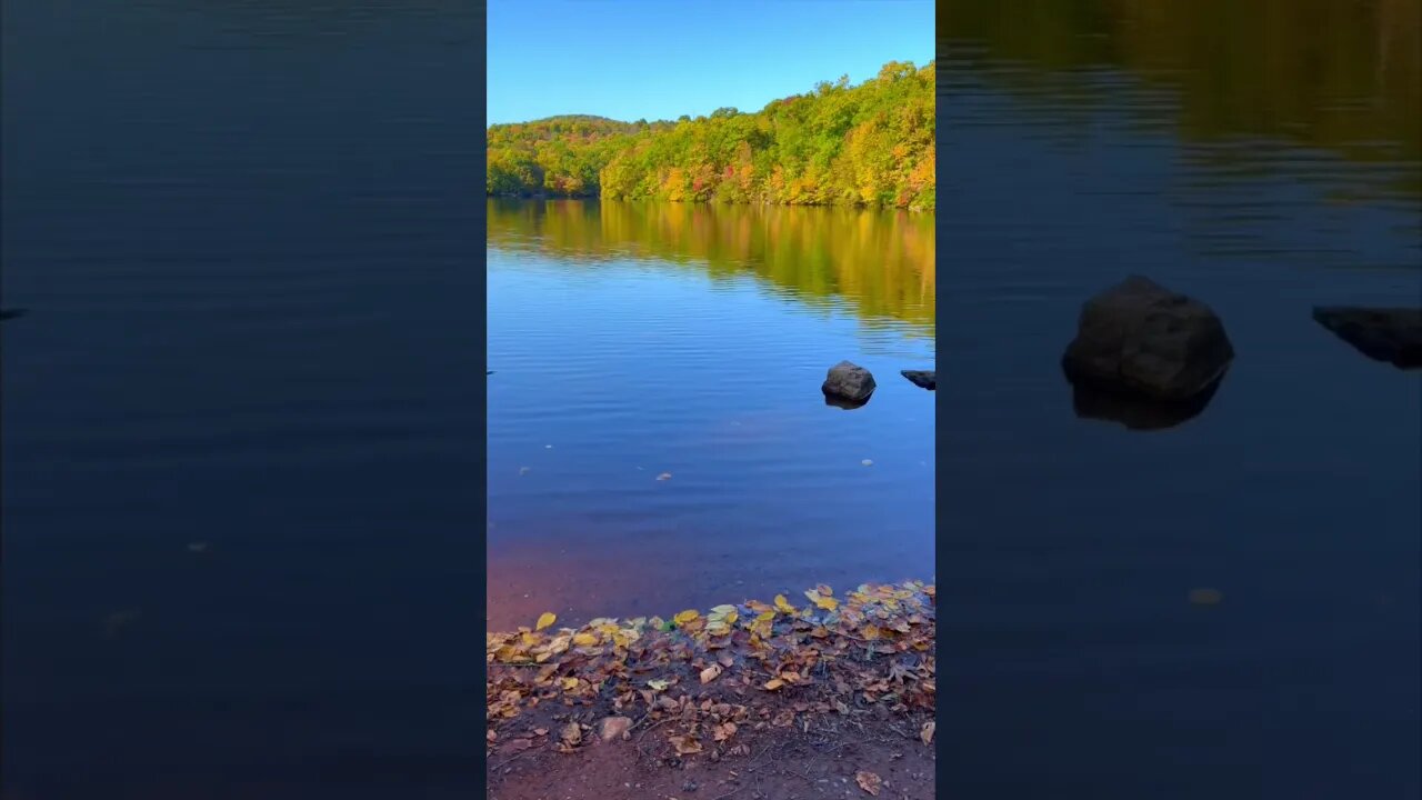 The Autumn Lake is Calling | Oops the Oboe Has a Twin | Pamela Storch
