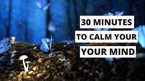 Relaxing Piano Music | Deep Focus | Stress Relief | Calm and Healing Music | Meditaion