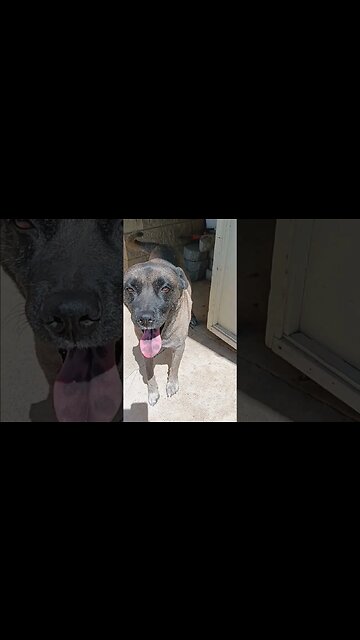 Supervisor Holly said it's a great day for outdoor airbrushing.