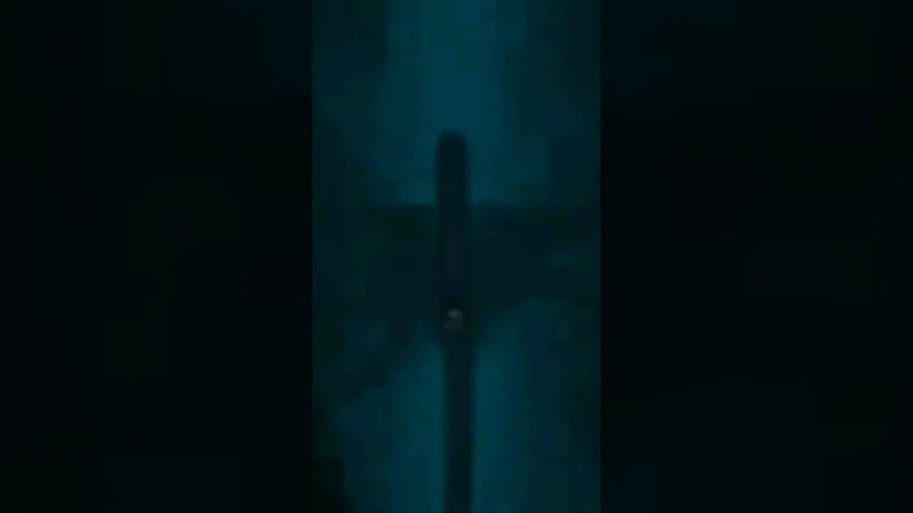 Under The Sea
