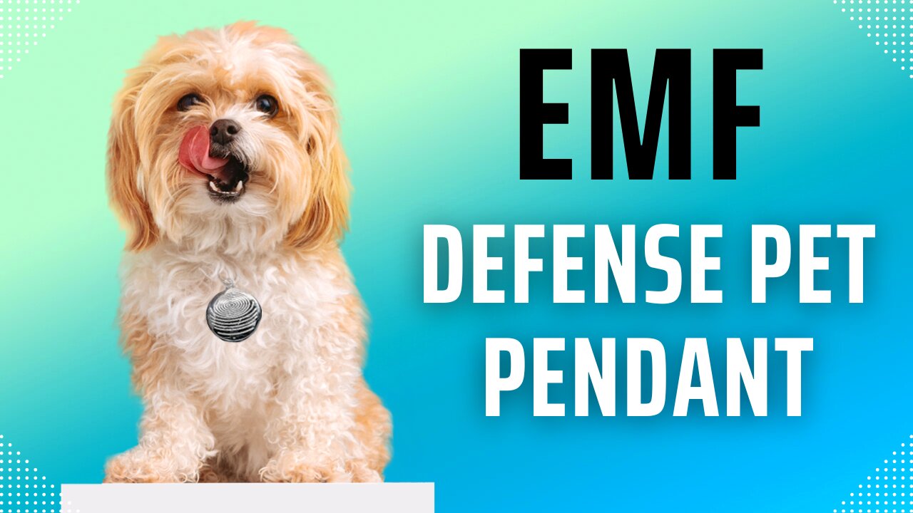 EMF Defense Pet Pendant