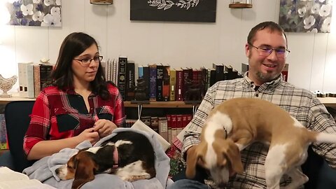 Beagle Blooper - Matthew 18