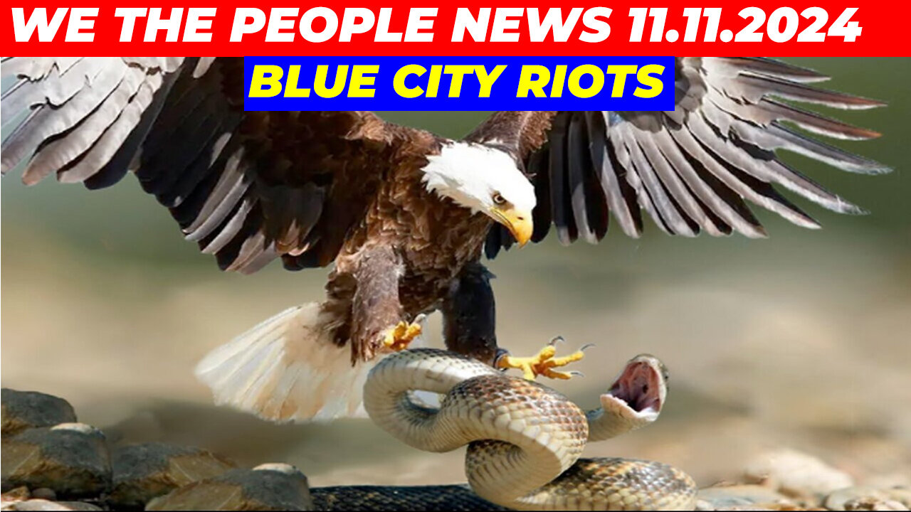 We The People NEWS 11.11.2024: BLUE CITY RIOTS, POISONING MAGA 💥 BENJAMIN FULFORD, NINO RODRIGUEZ