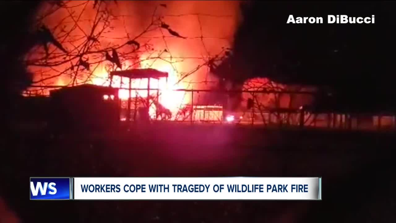 Nearly a dozen animals housed in barn at African Safari Wildlife Park in Port Clinton perish in fire