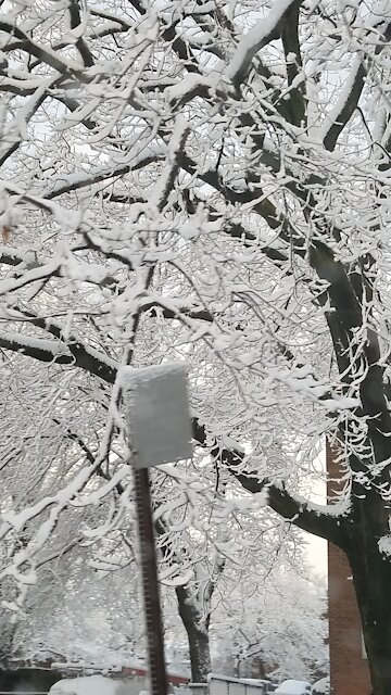 The third snowstorm -NY 2021