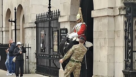 Horse gets really friendly with the soldier #horseguardsparade