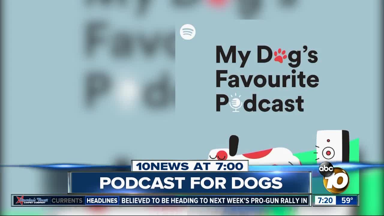 New podcast for dogs?