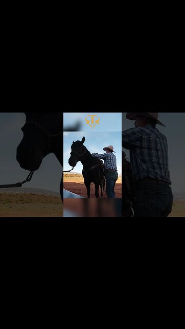 Keep Your Horse Warm 🐴