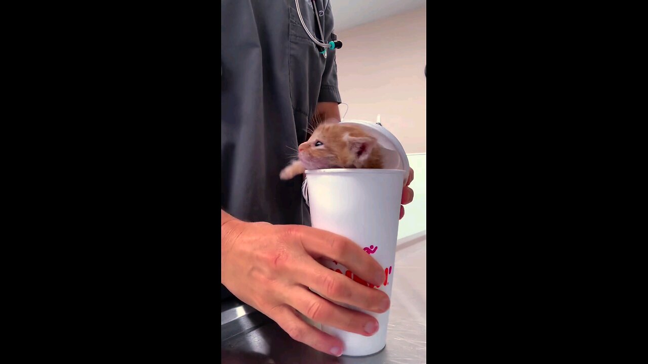 ever had your coffee wink at you #coffee #funny #pets