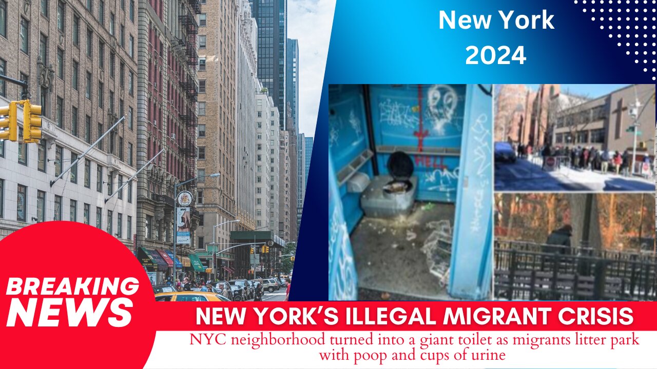 New York's Illegal Migrant Crisis