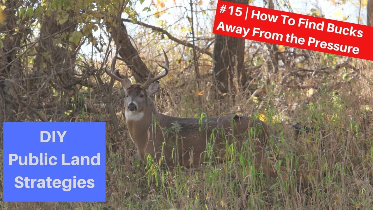 DIY public land strategies #15 | Getting away from hunting pressure