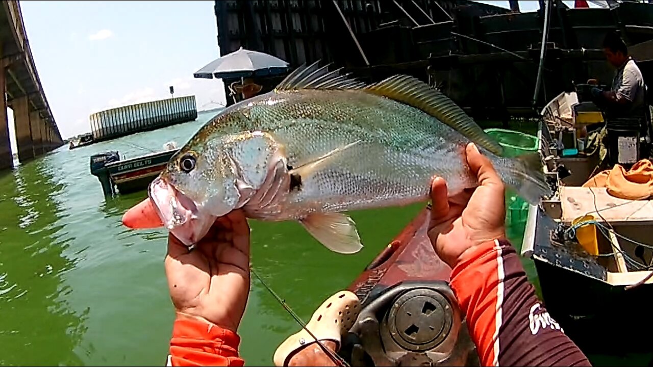 #4 Fishing Croaker - Kayak Fishing - Ultralight Reel Style - Pesca de Corvina