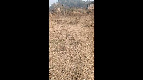 This land is for sale call 95013 68549