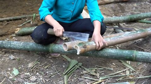 Build bamboo huts, build farms in the forest -7