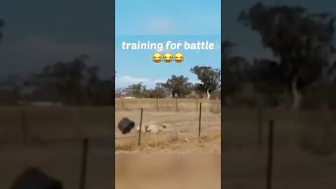 Training for battle!!!!