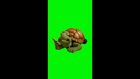 Thinking Turtle | Green Screen