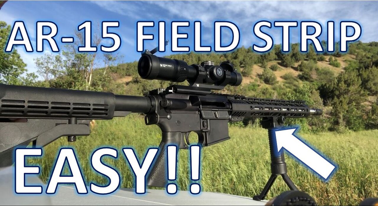 How to Field Strip an AR