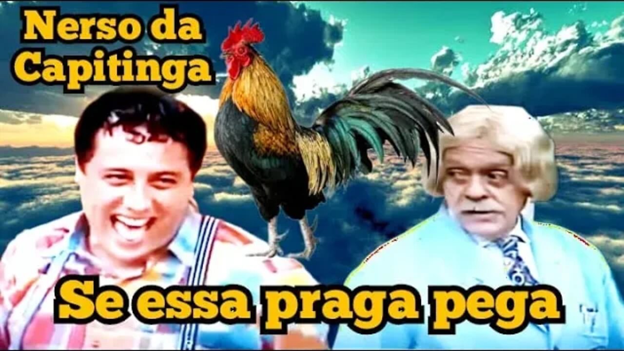 Escolinha do Professor Raimundo; Nerso da Capitinga, se essa praga pega!