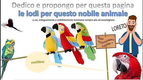 PAGINA CINQUANTOTTO del sito-canale di mariocase
