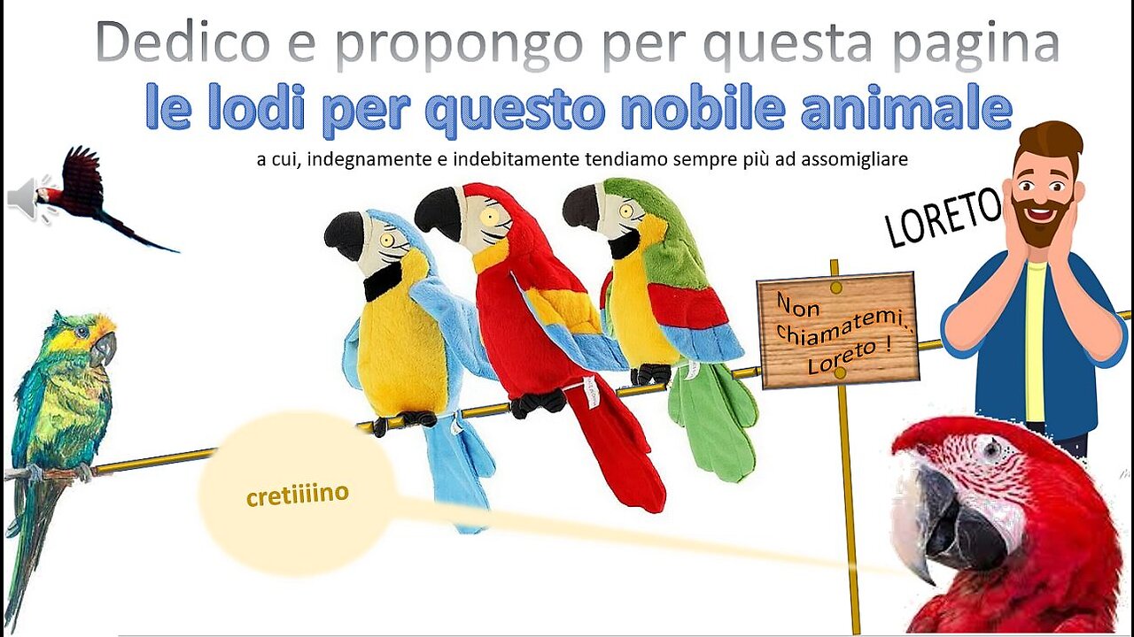 PAGINA CINQUANTOTTO del sito-canale di mariocase