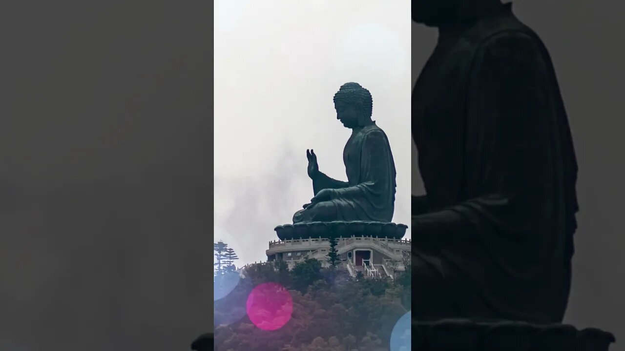 1 Minute Meditation I CREATE A HEALTHY LIFE #shorts #youtubeshorts #1minutemeditation #ommeditate