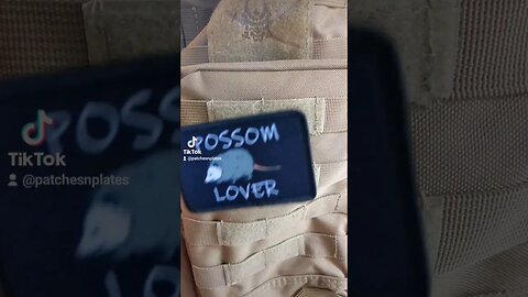 interesting possum information #shorts #possum #wildlife