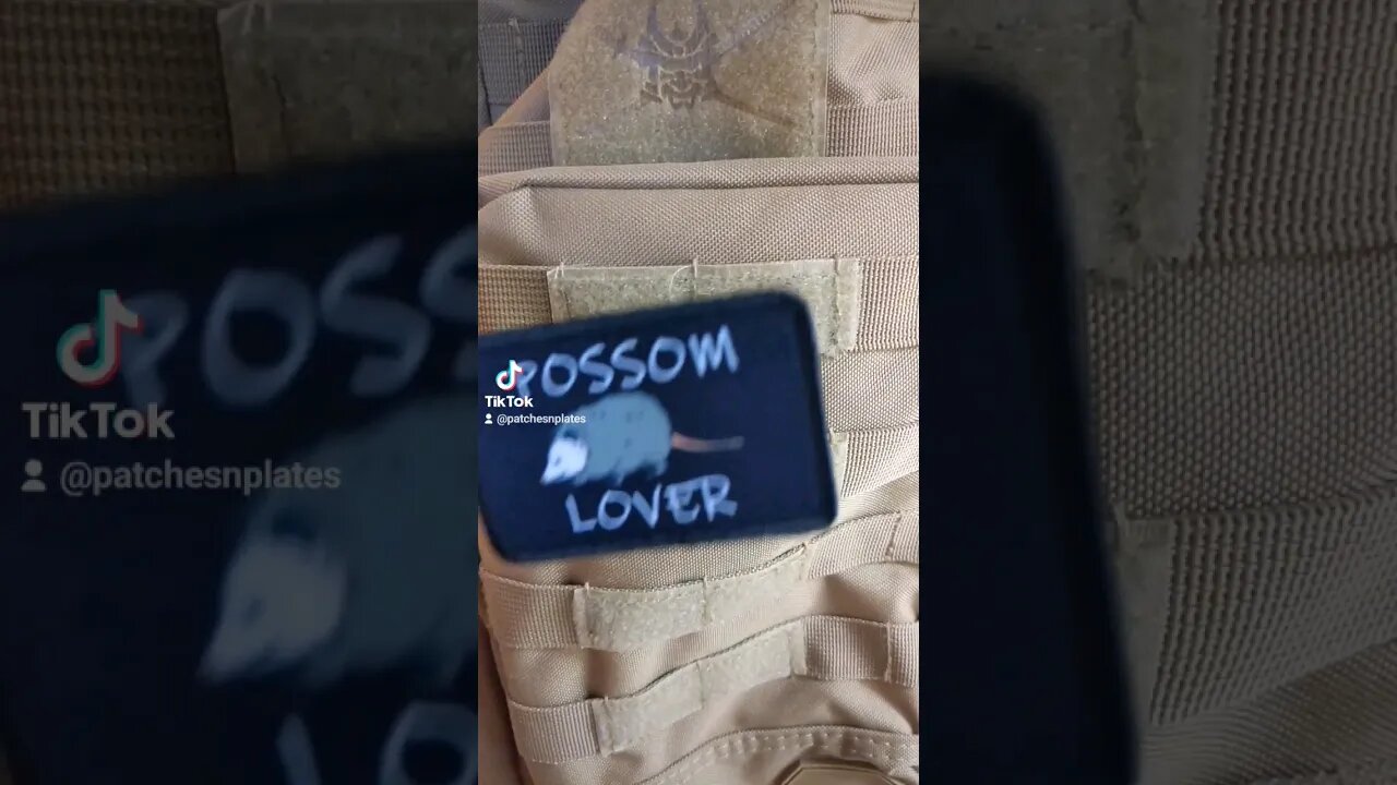 interesting possum information #shorts #possum #wildlife